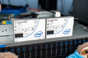 Windows Server 2025 NVMe vs Linux performance ssds